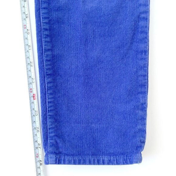J.Crew Womens Toothpick Corduroy Skinny Ankle Pants Size 29 Blue Stretch Fall - Picture 12 of 12